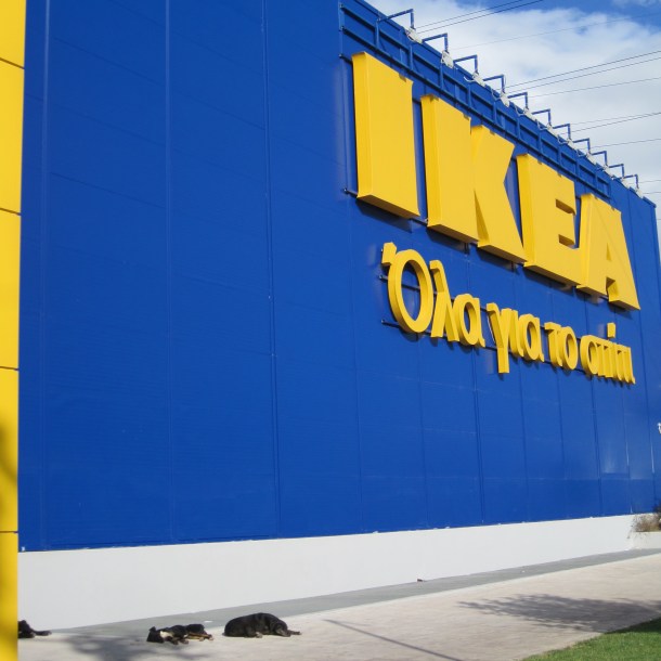 Ikea dogs