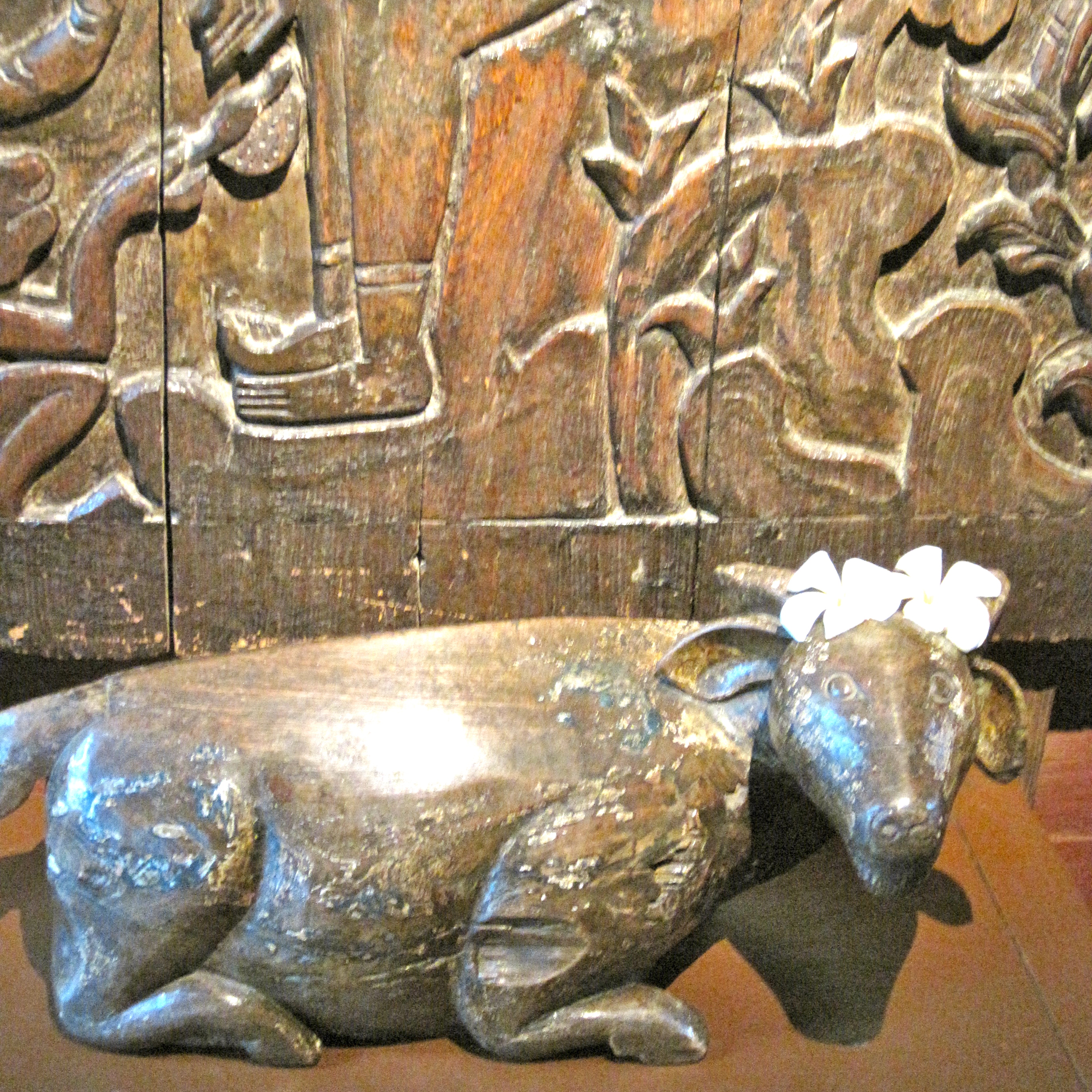 IMG_4576 - Version 2