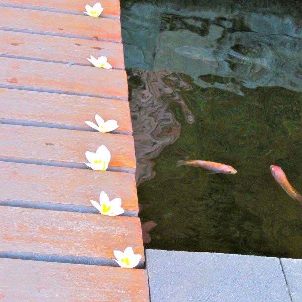 IMG_5436 - Version 2