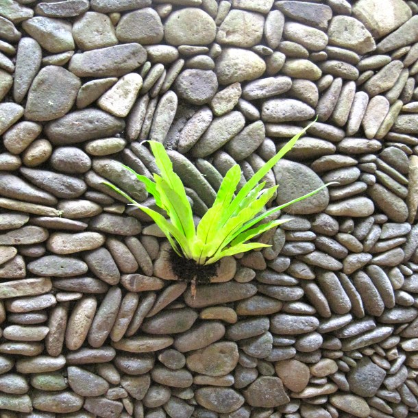 IMG_5551 - Version 3