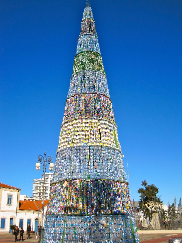 Larnaca tall can tree