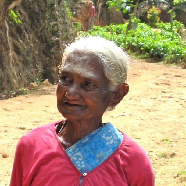 Tea Plantation Lady