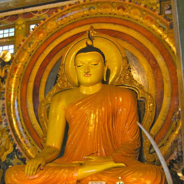 Buddha Colombo