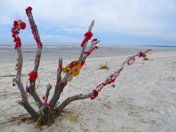 Valentine's Beach Tree