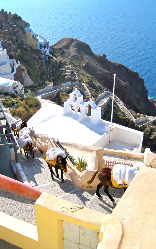 IMG_3288 - Version 2