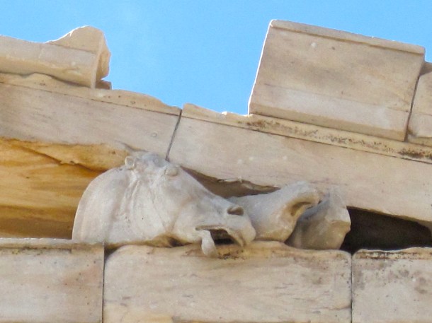 Athens Horses