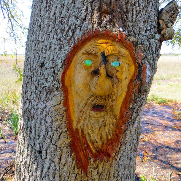 Tree spirit bait shop