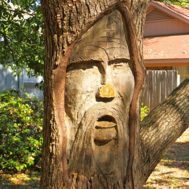 Tree spirit front yord