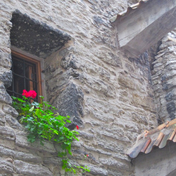 IMG_1109 - Version 2