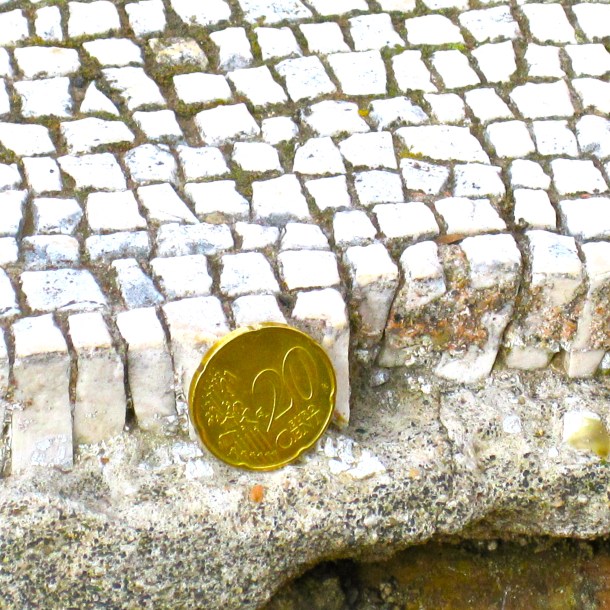 Coin for scale