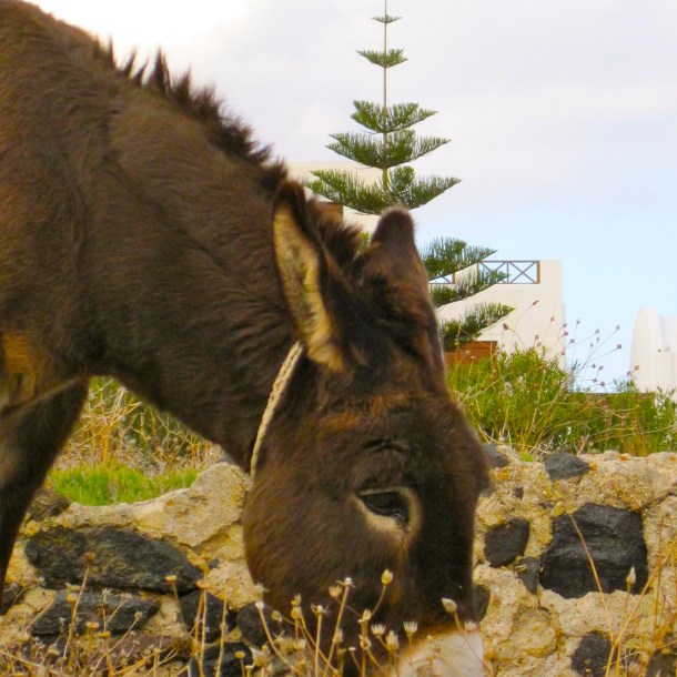 IMG_3198 - Version 2