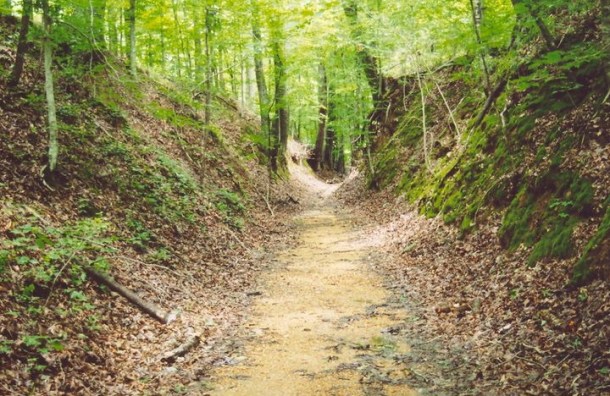 Sunken Trace