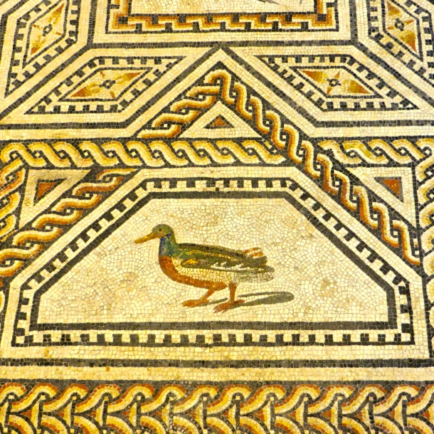 Duck Mosaic