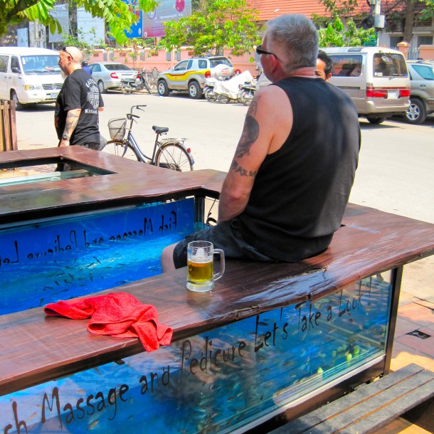 Sitting in the fish tank
