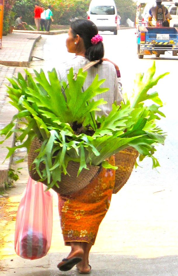 IMG_0156 - Version 2