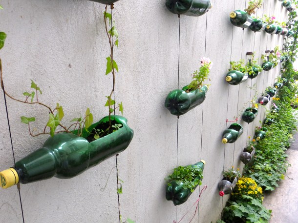 Beer Bottle Planters
