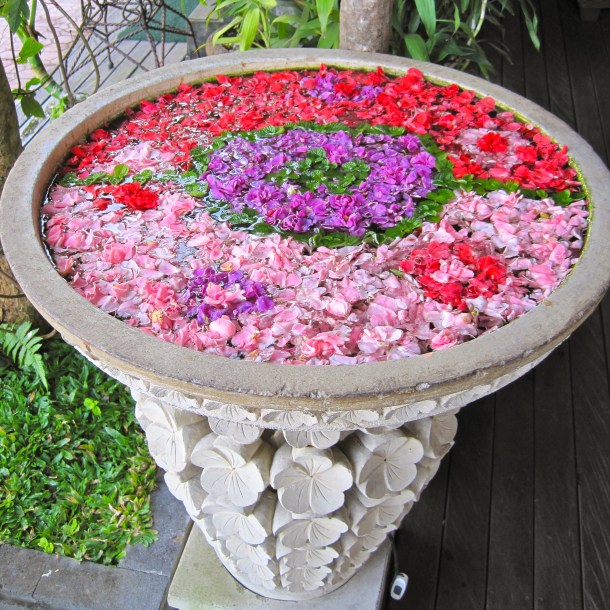 IMG_5418 - Version 2