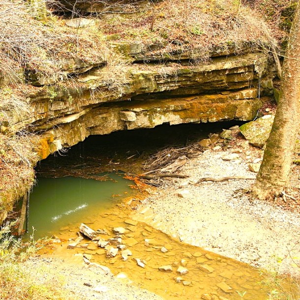 River Styx, a partly subterranean waterway, emerges onto the surface in Mammoth Cave National Park as a result of limestone karst topography .