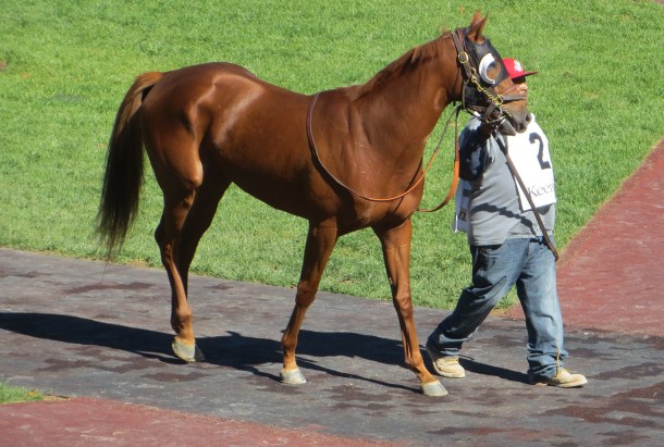 IMG_1891 - Version 2