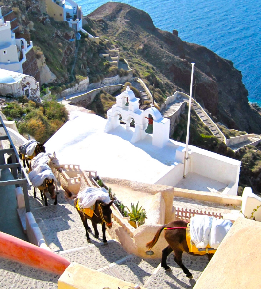Oia Donkeys 1