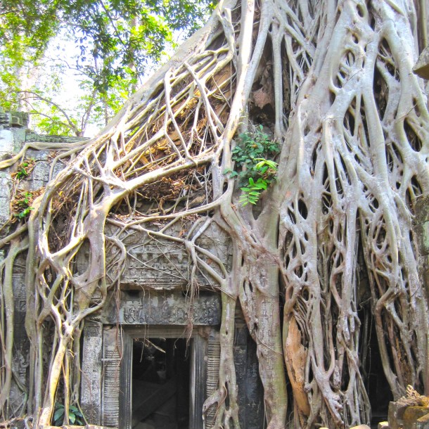ta-prohm